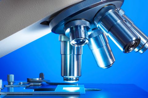 Phenyl 2-Hydroxy-4-methoxy-5-sulfobenzoate 100mg